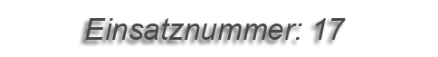 Einsatznummer: 017 Einsatznummer: 017