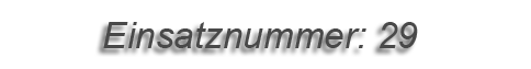 Einsatznummer: 029 Einsatznummer: 029