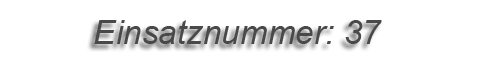 Einsatznummer: 037 Einsatznummer: 037