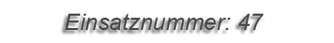Einsatznummer: 077 Einsatznummer: 047