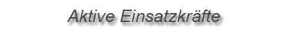 Aktive Einsatzkräfte Aktive Einsatzkräfte